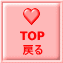 TOP 戻る 