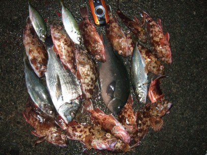 釣果