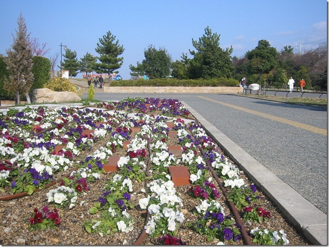 2010 02 28 015