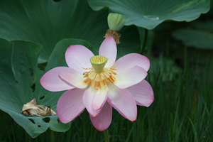 IMG_3640-1.png