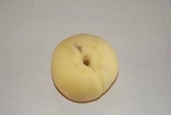 ړ