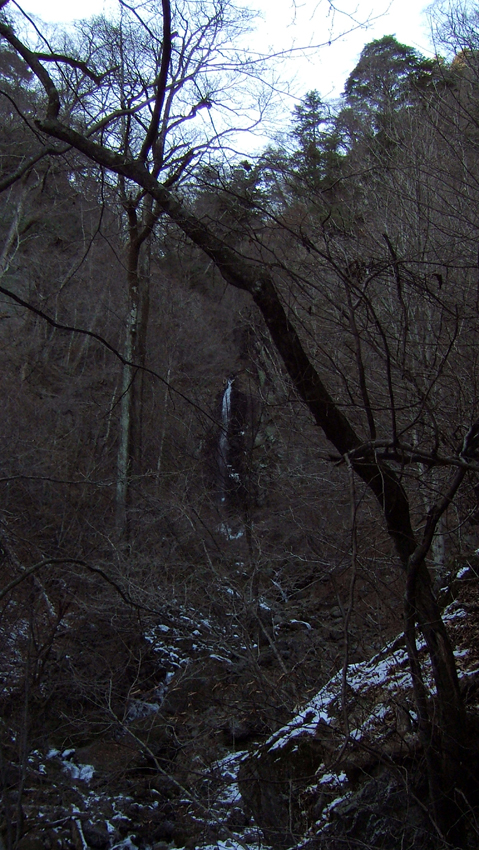 早滝