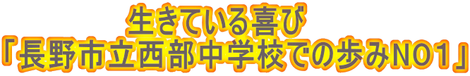 @@@@@@Ă uswZł̕NOPv 