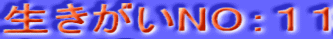 NOFPP