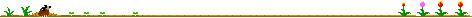 d؂